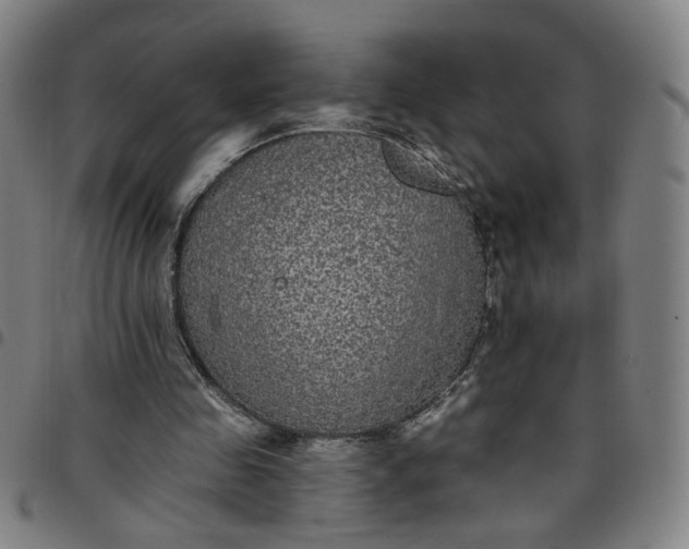 X0000097510341200803071829