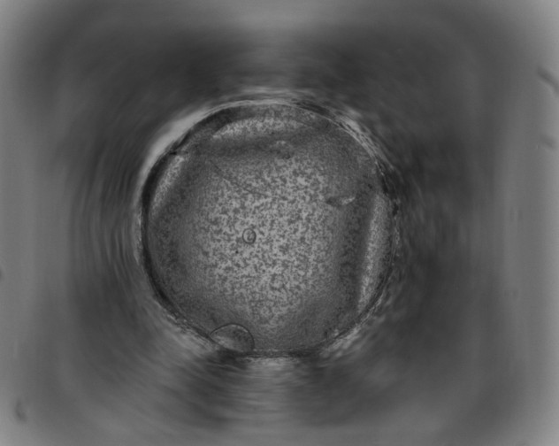 X0000097510342200803071829