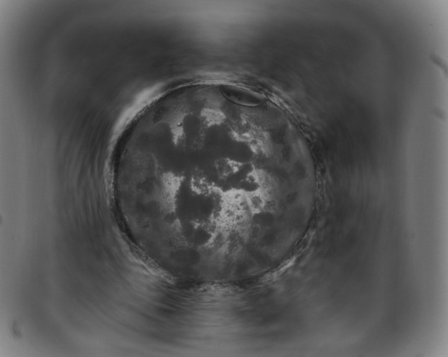 X0000097510343200803071829