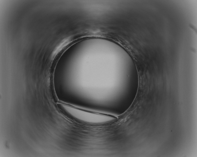 X0000097510344200803071829