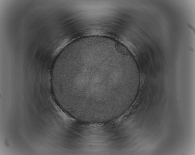 X0000097510345200803071829