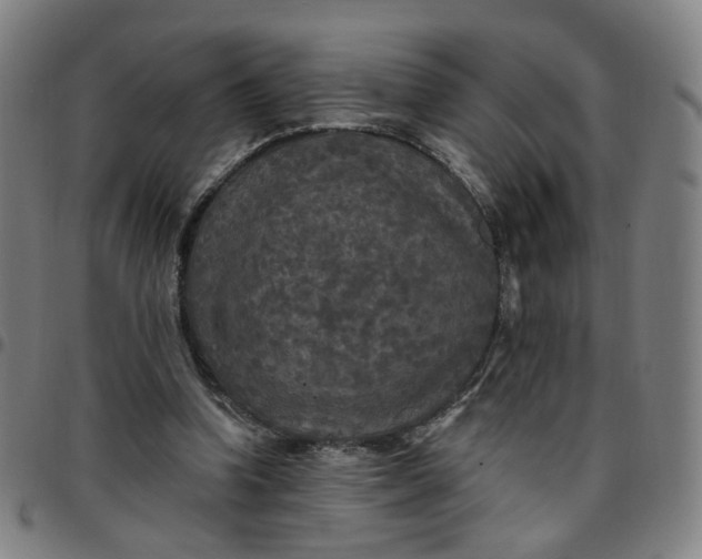 X0000097510346200803071829