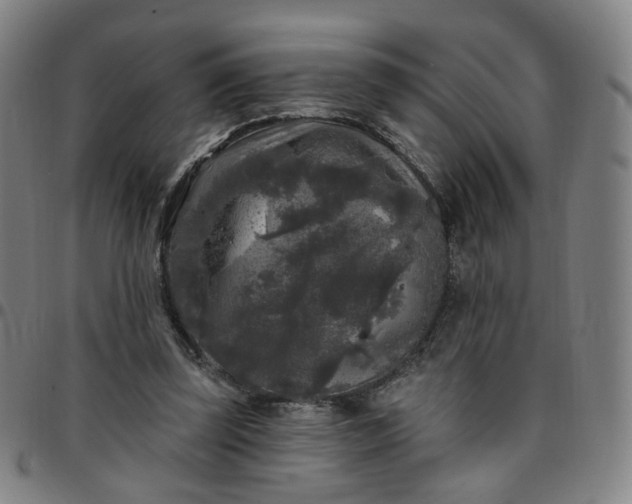 X0000097510347200803071829