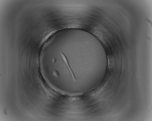 X0000097510348200803071829