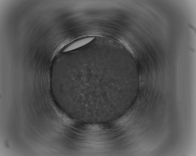 X0000097510349200803071829