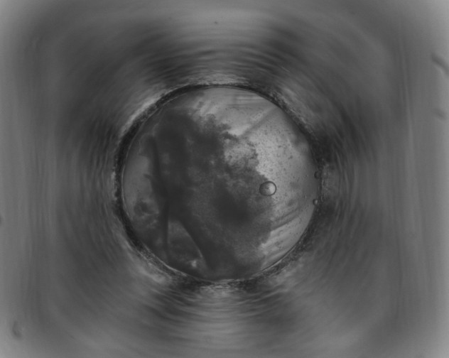 X0000097510351200803071829