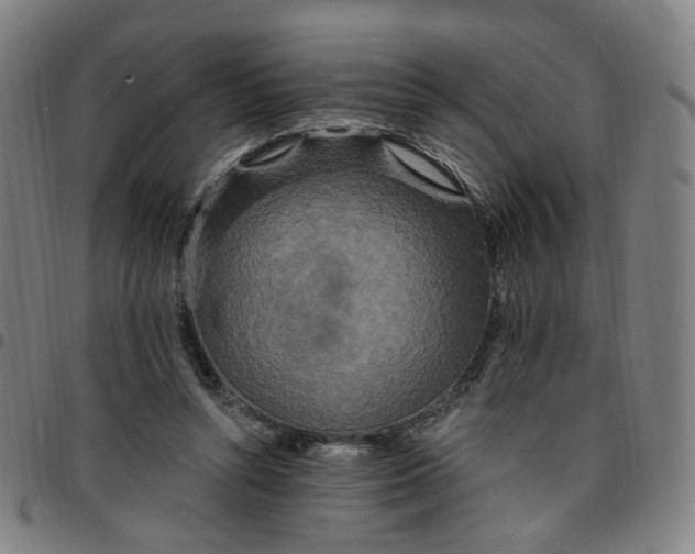 X0000097510352200803071829