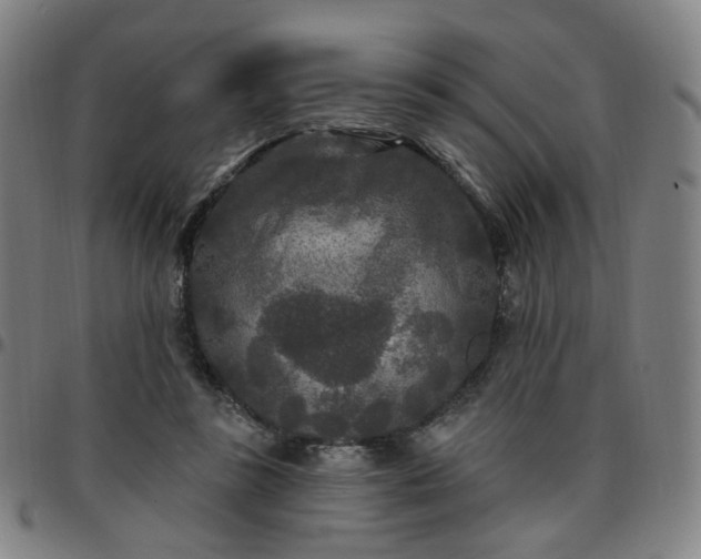 X0000097510355200803071830