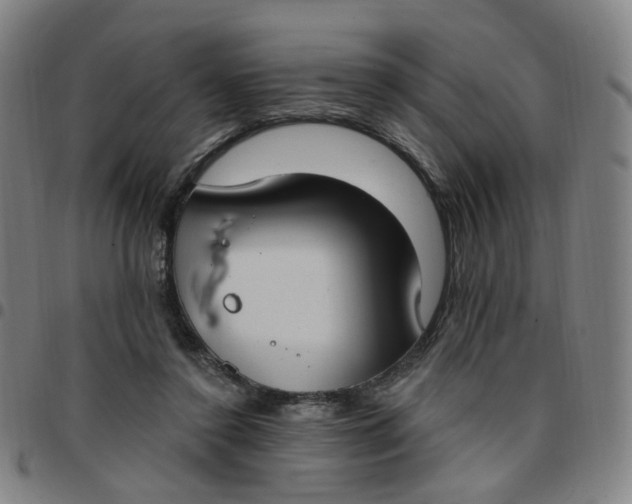 X0000097510356200803071830