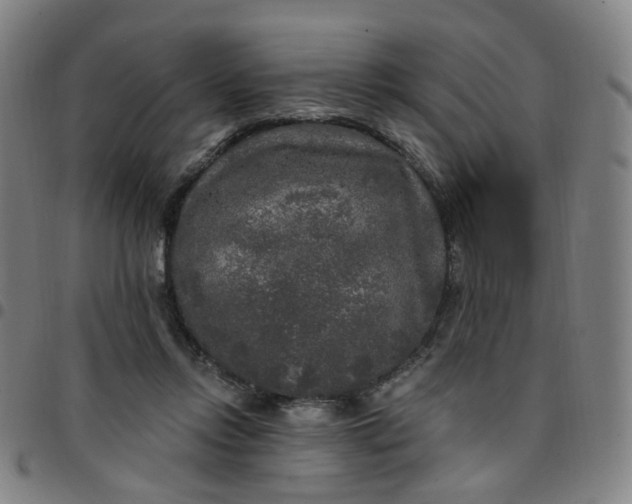 X0000097510358200803071830