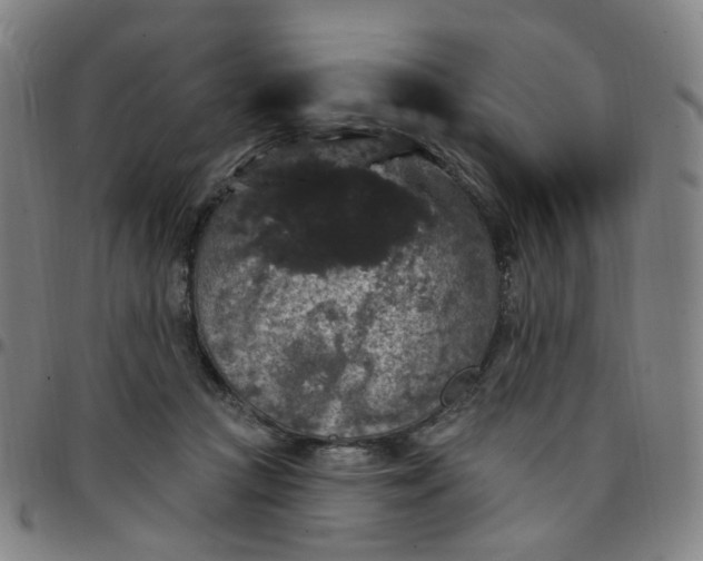 X0000097510361200803071830