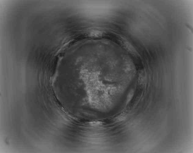 X0000097510363200803071830