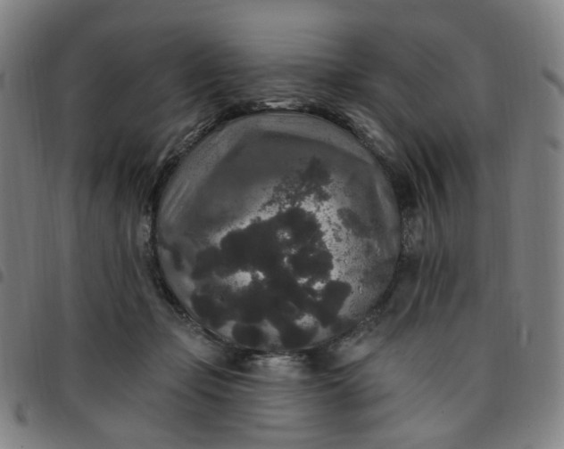 X0000097510365200803071830