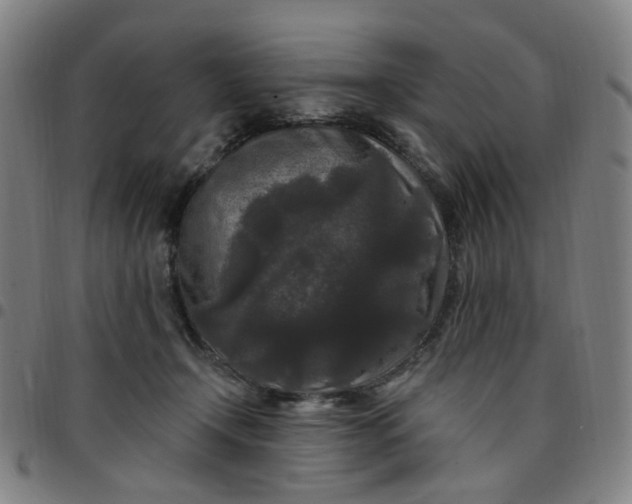 X0000097510366200803071830