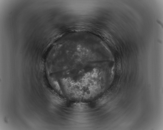 X0000097510367200803071830