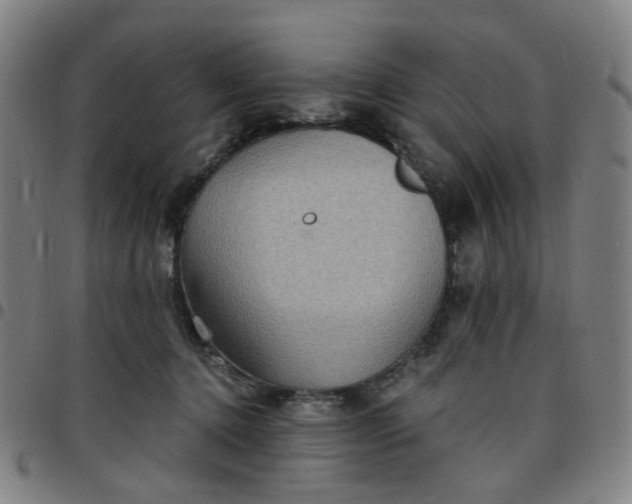 X0000097510368200803071830