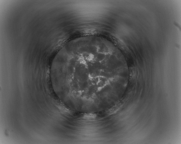 X0000097510369200803071830