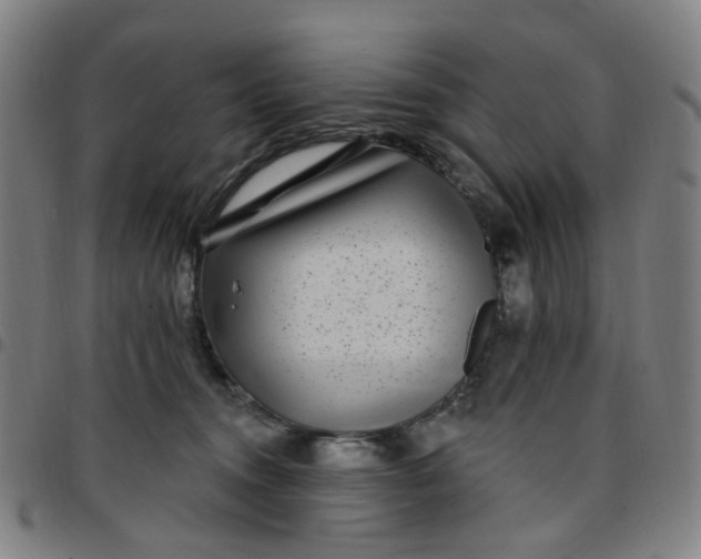 X0000097510372200803071830