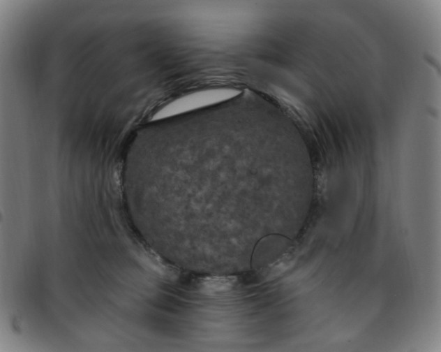 X0000097510373200803071830