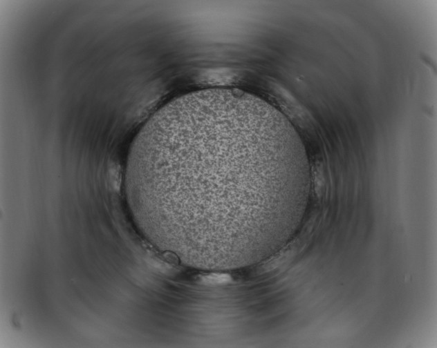 X0000097510374200803071830