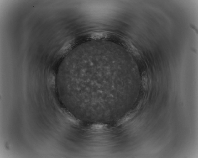 X0000097510375200803071830