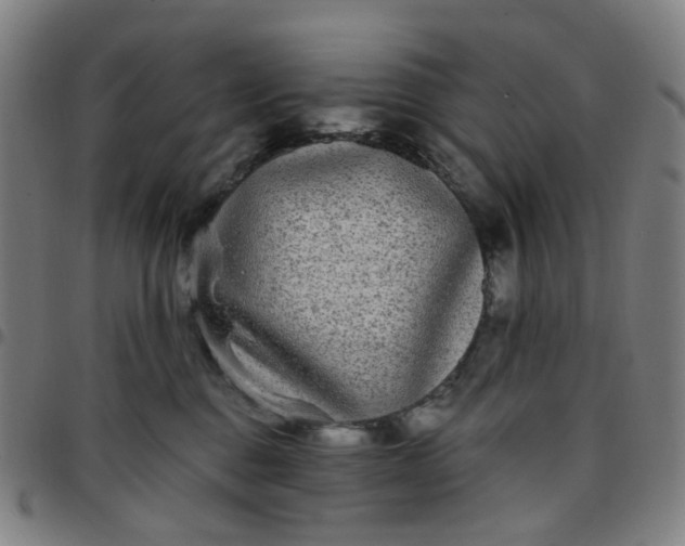 X0000097510376200803071830