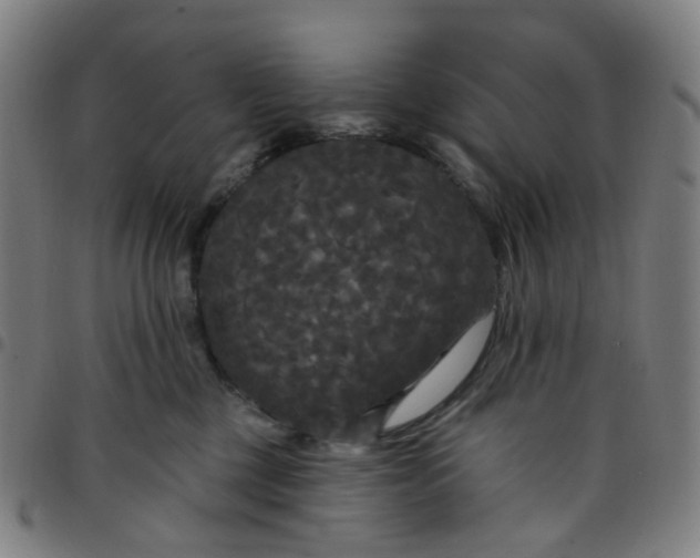 X0000097510377200803071830