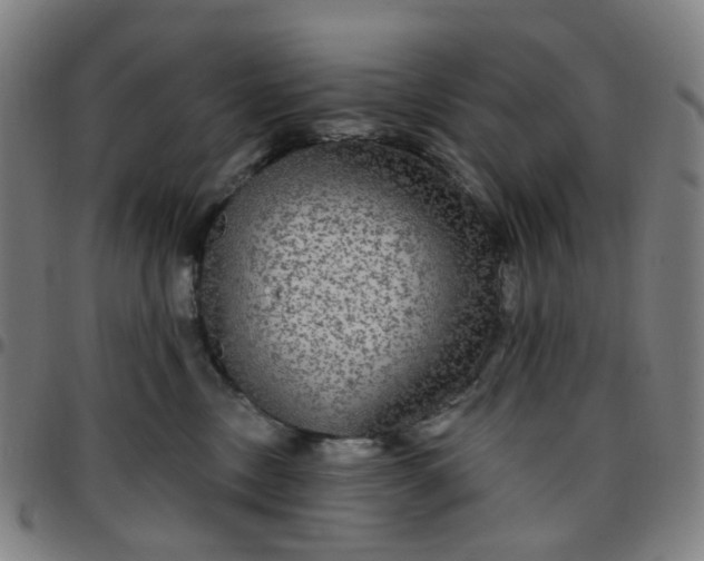 X0000097510378200803071830