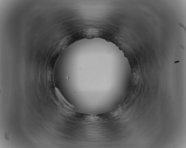 X0000097510379200803071830