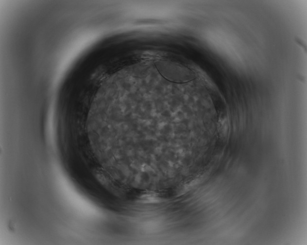 X0000097510381200803071830