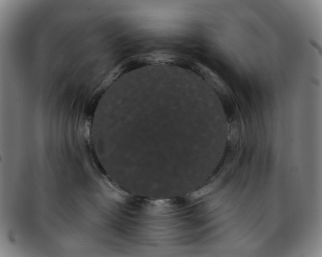 X0000097510382200803071830