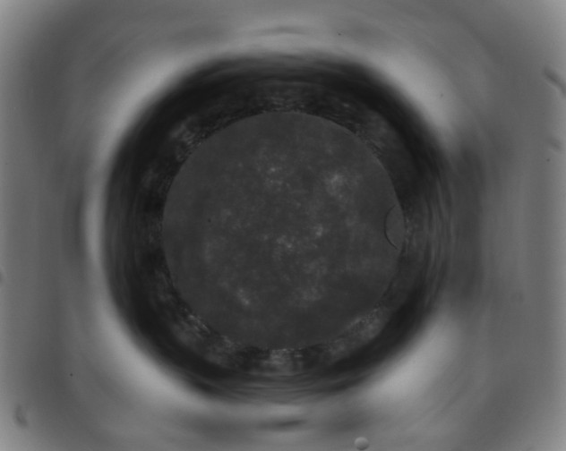 X0000097510383200803071830