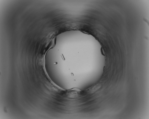 X0000097510384200803071830