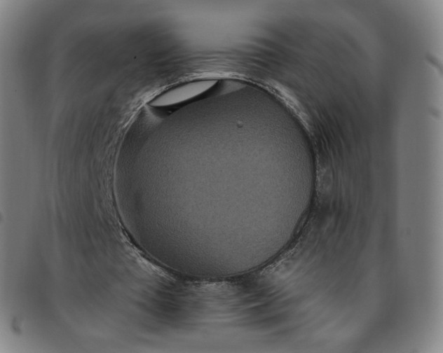 X0000097510385200803071829