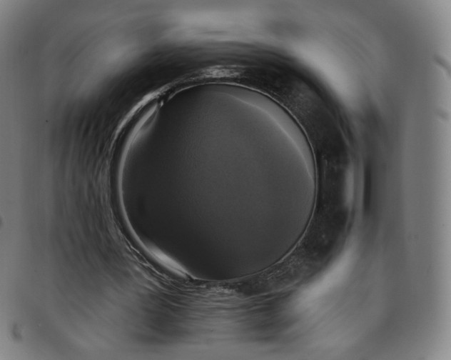 X0000097510387200803071829