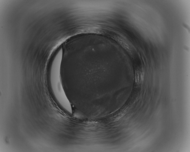 X0000097510388200803071829