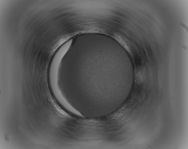 X0000097510389200803071829