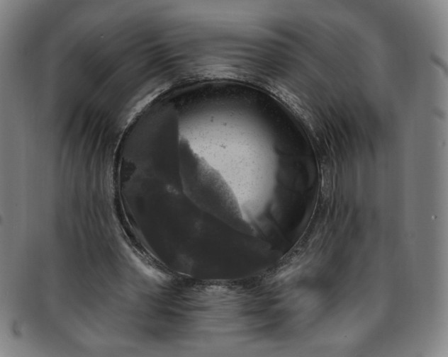 X0000097510390200803071829