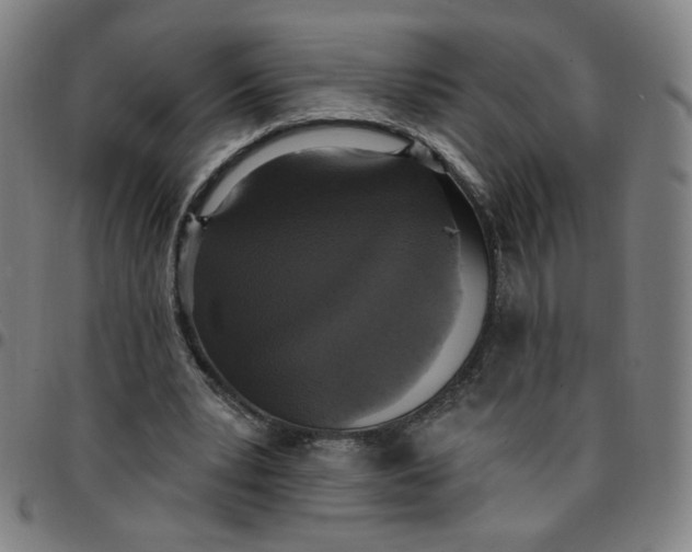 X0000097510391200803071829