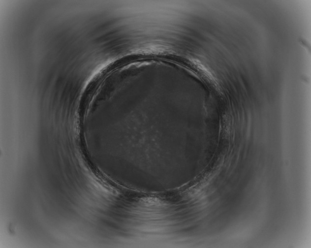 X0000097510392200803071829