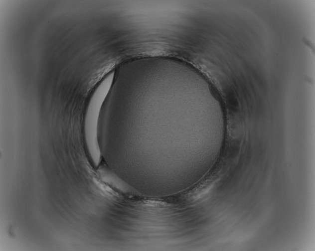 X0000097510393200803071829