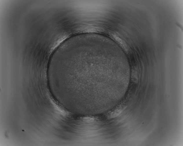 X0000097510394200803071829