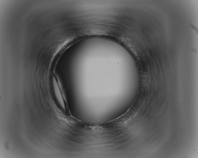 X0000097510395200803071829