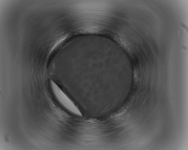 X0000097510396200803071829