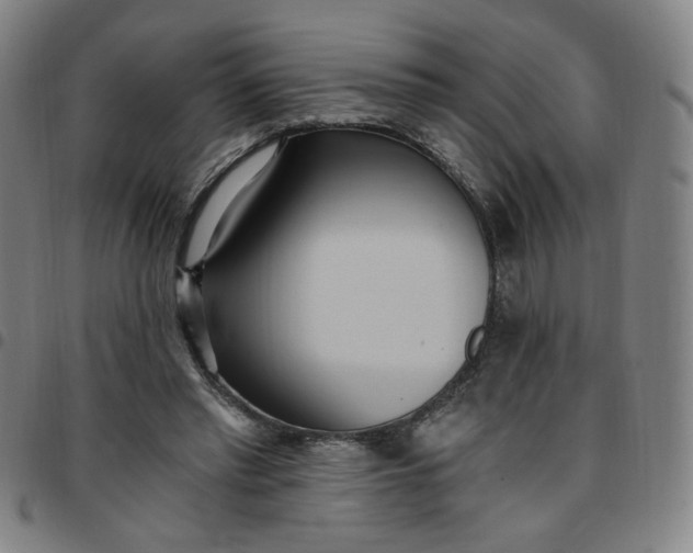 X0000097510397200803071829