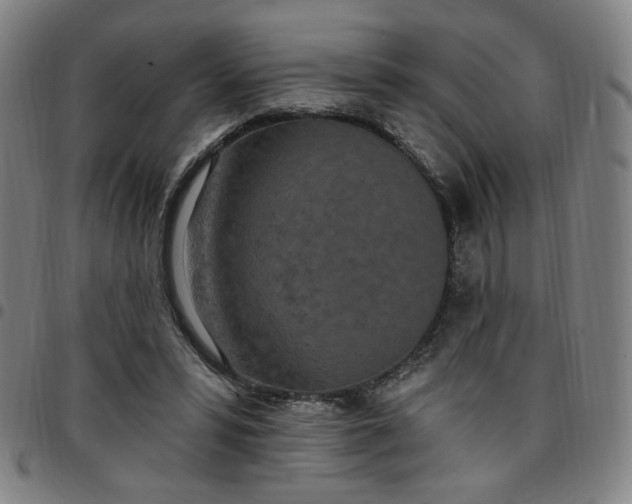 X0000097510399200803071829