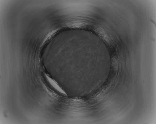 X0000097510400200803071829