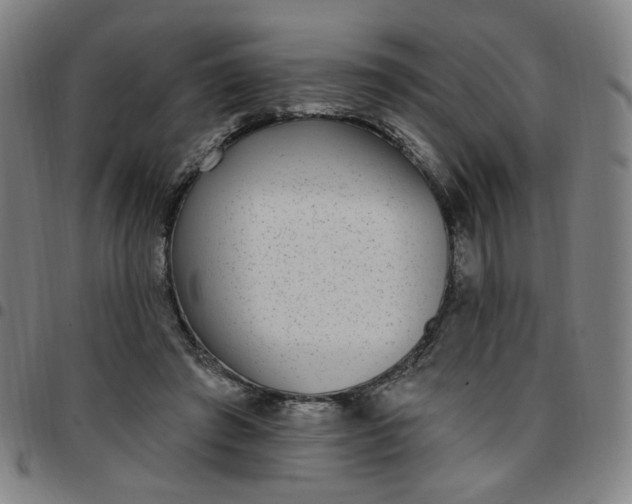 X0000097510401200803071829