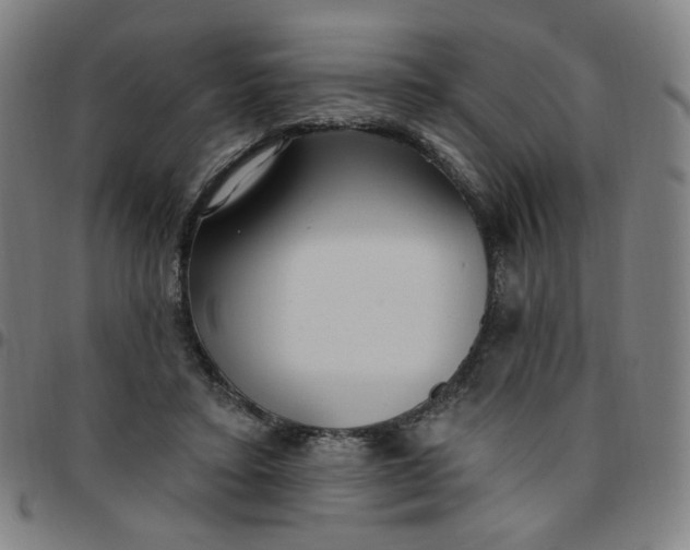 X0000097510403200803071829