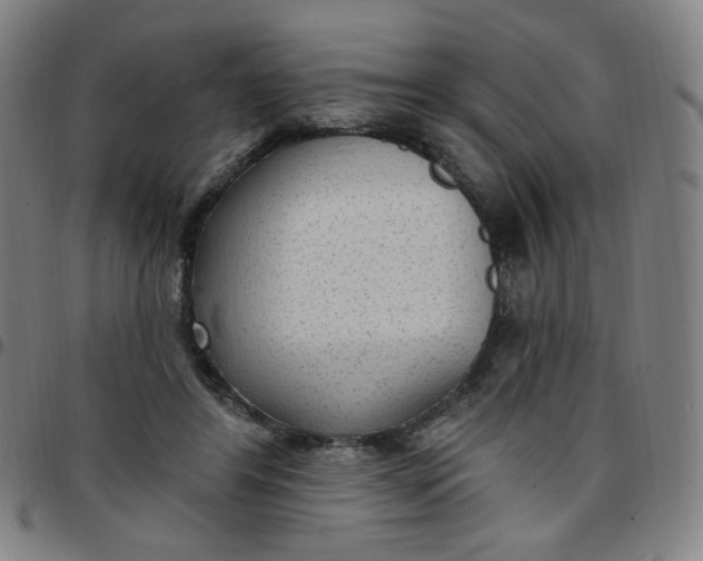 X0000097510404200803071829